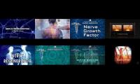 nerve regeneration, chin morphic