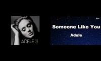 Adele Someone Like You Mashup