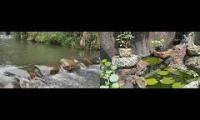 Thumbnail of kejar waktu 4000 jam tayang