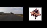 Thumbnail of Cyclists chased by a chocobo