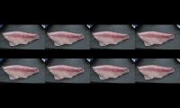 Fish vs Meat compilation