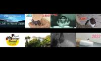 Amazingearthanimalslivestream