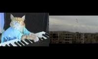 Thumbnail of Cat video while watching the end of the world