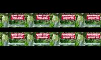 Thumbnail of jambu kristal tanam sendiri ternyata berbuah gampang