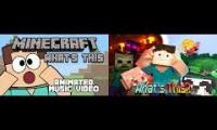 Whats This MInecraft Parody Mashup