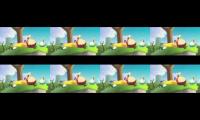 angry birds presents summer pignic in 8 times