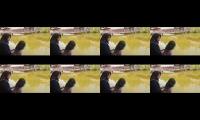 Thumbnail of Mampir Bersama Keluarga di Gubuk Makan Mang Engking | Lembang Bandung