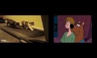 cats scooby doo running