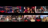 Thumbnail of Annoying Goose WWE Edition 13