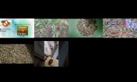 Thumbnail of kejar waktu 4000 jam tayang