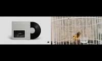 Thumbnail of Nils Frahm - Hammers (ft. Peter Broderick & KENARI)