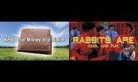 rabbits are in a wallet