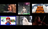videos instrumento II