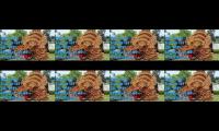 Thumbnail of Keserruan pawai taaruf PP Hidayatut Thalibin