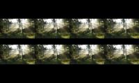 Thumbnail of forest relaxing video, Nature music, mind relaxing music, naturescape