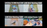 Thumbnail of NatureTecStreams(Nistcams)