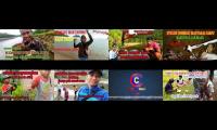 kumpulan video memancing, fishing video, videos viral trnding