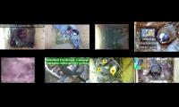 Amazingearthanimalslivestream