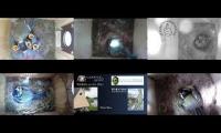 Amazingearthanimalslivestream