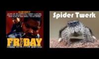 Twerk spider big booty