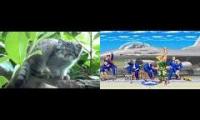 Thumbnail of Go home and be a Pallas Cat