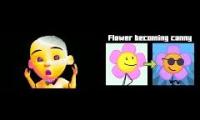 I Like Other People And Ipin And I Hate BfB Flower