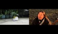 Thumbnail of plant throat singing