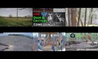 Thumbnail of Amazingearthanimalslivestream