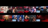 Thumbnail of Annoying Goose WWE Edition 26