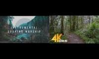 Thumbnail of Take a walk in the woods