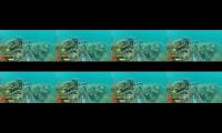 Thumbnail of Spearfishing Indonesia| pantai sekrat surga para spearo