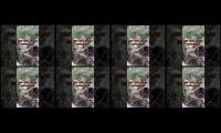 Thumbnail of Siolengsantuymultypliyer