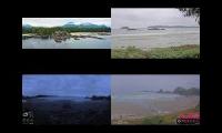 Thumbnail of Tofino Canada Beach....
