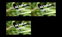Thumbnail of Fakta menaruk capung