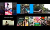 Watch hours of my own videos