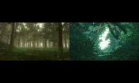 Thumbnail of ambience forest, mashup foieanfiaenfvipanfvpie