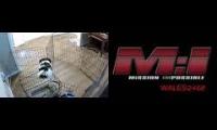 Little Mission Impossible Dog