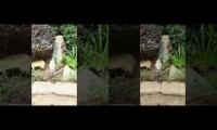 Thumbnail of 1233213123123123123123