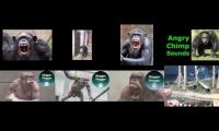Thumbnail of Antons BR Jungly Jim