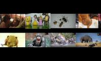 Best timelapse koleksi#timelapse