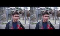 double me at the zoo