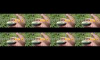 Thumbnail of Fishing ststrike strike strike strikeory hoby hoby hoby hoby hoby