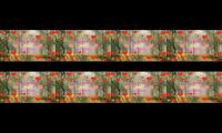 Thumbnail of Love songs for all times collections