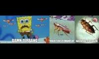 meme manusia vs lipas spongebob (teruskan lo) (video Asal Dari dibikin ngakak Aja)