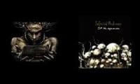 Infected Mushroom - Bombat & Savaged Regimes cover together.