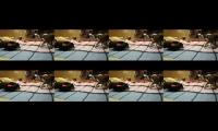 Thumbnail of kuttis very fan 6 kuttis fight
