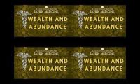 Sapien Medicine Wealth Abudance Boosted