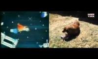 Super Chonky Boi Mashup
