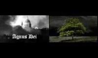 Barber Agnus Dei William Orbit