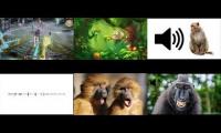 Thumbnail of Ape Ape Ape Ape Ape Ape